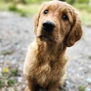 Meet your Posher, Marie-andrée